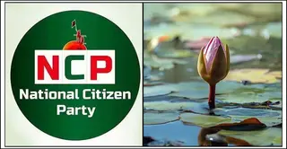 অবশেষে শাপলা কলিতে ‘সম্মতি’ এনসিপির